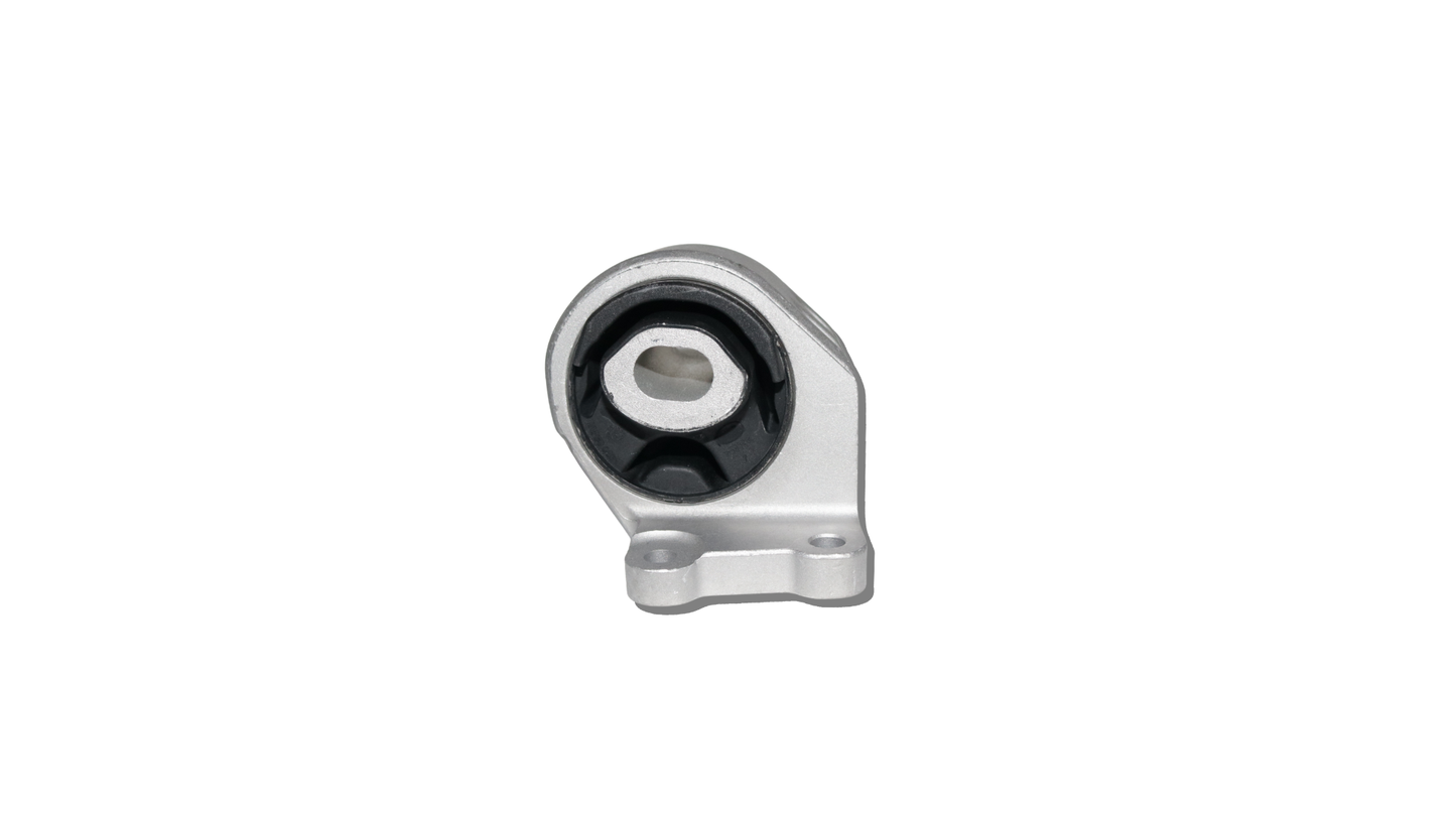 ZRT Aftermarket Gear Mounting LZLR098750